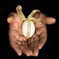 Close up of man hands holding a white egg with a gold ribbon. Royalty Free Stock Photo