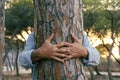 Close up of man hands hugging a trunk tree at the park. People and nature protection environment lifestyle. Outdoor leisure Royalty Free Stock Photo