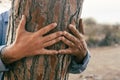 Close up of man hands on a trunk tree. People and environment climate change protection planet earth. Concept of sustainable life Royalty Free Stock Photo