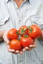 Close Up Of Senior Man Holding Home Grown Tomatoes