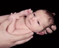 Close-up of man holding newborn. isolated Royalty Free Stock Photo