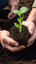 Close-up of a man holding a pot of seedlings Royalty Free Stock Photo