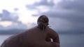 Close-up of man holding snail on hand. Media. Large snail sits on man`s arm on background of blurry overcast sky. Great