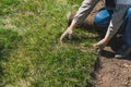 Close-up man laying grass turf rolls for new garden lawn Royalty Free Stock Photo