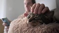 Close up man petting cat.