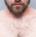 Close-up of man's beard Royalty Free Stock Photo