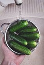 Close-up man`s hand holding cucumbers in a metal colander under running tap water in the sink, health and hygiene washing Royalty Free Stock Photo
