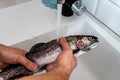 Fresh rainbow trout in men`s hands. Royalty Free Stock Photo