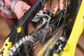 Close-up of a man`s hand, led by masters, lubricate the bicycle chain of a mountain bike with a special lubricant in the Royalty Free Stock Photo