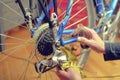 Close-up of a man`s hand, lubricate the bicycle chain of a bike with a special oil in the home workshop Royalty Free Stock Photo