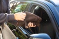 Man stealing bag from car Royalty Free Stock Photo