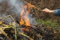 A man`s hand throws a dry plant into the fire