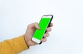 Close-up of a man`s hand in a yellow sweater holding green mock-up screen smartphone. Isolated on white background. Modern Mobile