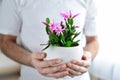 Close up of man's hands holding flower in pot Royalty Free Stock Photo