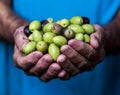 Close up of a man's hands holding a handful of olives