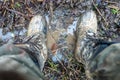 Close-up for a man`s legs in military camouflage with a trekking wellington shoes dirty in mud