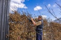 Close-up of a man using an electric hedge trimmer to trim bushes in the garden of a villa on a sunny early spring day. Royalty Free Stock Photo