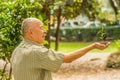 Close up of man using one hand holding and caring a young green plant, planting tree, growing a tree, love nature, save