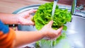 Close-up of man washing vegetables in kitchen sink with water.