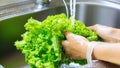 Close-up of man washing vegetables in kitchen sink with water.