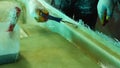 Close-up of a man working on the fiberglass treatment of the boat's hull. Construction of fiberglass pedal Royalty Free Stock Photo