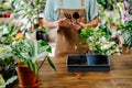 Unrecognizable man in a green t-shirt, apron holds gardener& x27;s tool there& x27;s a lot of flower pots around him. Royalty Free Stock Photo