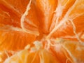 Close-up of mandarin texture.