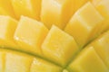 Close up of mango scored and spread apart Royalty Free Stock Photo