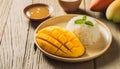 Close-up of mango sticky rice, Thai dessert. Sweet food. Tasty treat. Culinary concept Royalty Free Stock Photo