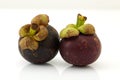 The purple mangosteen on white