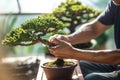 Close Up Of Mans Hands Care For A Beautiful Bonsai In A Serene Greenhouse - Generative AI