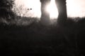 A close up of a mans legs silhouetted by the sun. With a blurred, out of focus, sepia edit