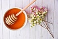 Manuka honey and tree close up Royalty Free Stock Photo