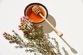 Manuka honey and tree close up