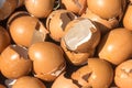 Close-up many broken eggshell with sunshine for background and texture