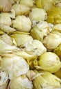 Close up many chinese sour cabbage