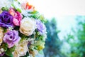 Close up many colorful flower rose for wedding & flower. Royalty Free Stock Photo