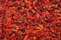 Close-up many fresh dried red chili peppers on top-view Royalty Free Stock Photo