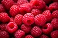 Close up of many fresh raspberry fruits