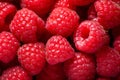 Many fresh raspberry fruits