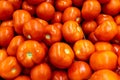 Close up of many fresh red tomatoes big fruit type Royalty Free Stock Photo