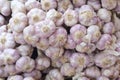 Close up of Many heads of white purple garlic on market stand