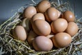 Close up of Many large eggs