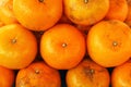 Close up of many orange piles in the market, orange fruit texture background