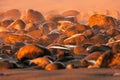 Close-up of many pebbles on the sand of the beach