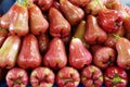 Close up many rose apple Royalty Free Stock Photo