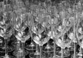 Close up many rows of empty wine glasses black and white color selective focus isolated on black background Royalty Free Stock Photo