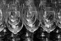 Close up many rows of empty wine glasses black and white color selective focus isolated on black background Royalty Free Stock Photo