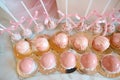 Close up many servings of sweet tasty dessert on buffet. Fresh pink sweet berry desserts, beautifully decorated. Catering
