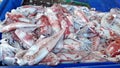 close-up many squid deep-sea live dead sell market store still frozen fresh.